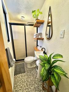 Citla-9 Hermoso e iluminado departamento