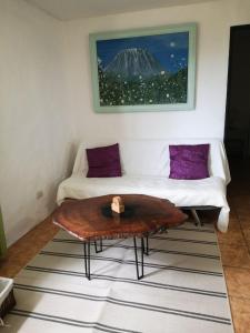 Casita Garita with Sea View and Mono Tamarindo, Guanacaste