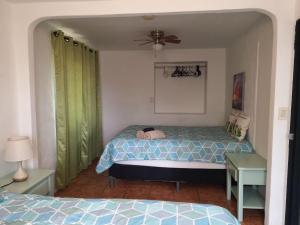 Casita Garita with Sea View and Mono Tamarindo, Guanacaste
