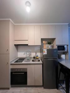 Departamento central, Pitrufquén