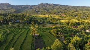 Kubu Sambangan Bali