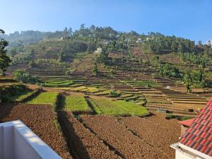 Best Double Suite Rooms in Kodaikanal