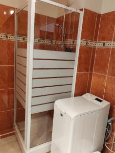 Appartements Charmant 3 pieces classe 3 etoiles en centre ville : photos des chambres