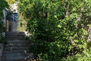 Apartments Jeanny - One Bedroom Apartment with Terrace