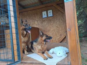 Samostatný domek SRDCOVKA