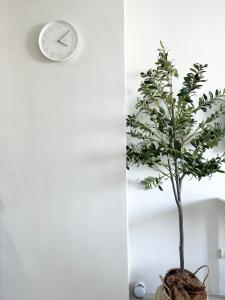 Vibrant Makati Studio