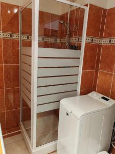 Appartements Charmant 3 pieces classe 3 etoiles en centre ville : photos des chambres