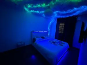 The Jungle SPA Strasbourg - 希尔蒂盖姆