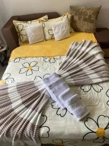 Anca Drambarean - Şeuşa