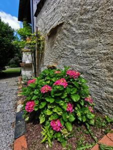 B&B / Chambres d'hotes La chambre des vergers de St Nicolas : photos des chambres