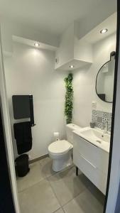 Appartements Studio Gare Dijon centre : photos des chambres