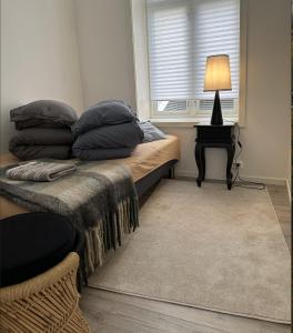 Downtown free parking cozy apartment