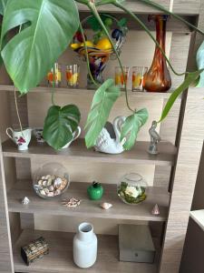 APARTAMENT MAGNOLIA