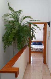 MELROSE PLACE 2 Dormitorios y Piscina en Vecindario