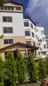 Pine Maderas by Embrace