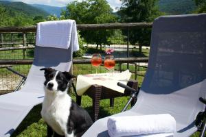 Agriturismo Monte Del Re