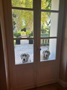 B&B / Chambres d'hotes Manoir des Sources : photos des chambres