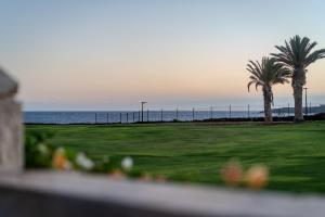 Oceanfront villa - Amarilla Breeze