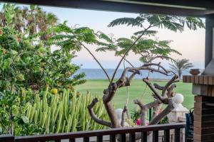 Oceanfront villa - Amarilla Breeze