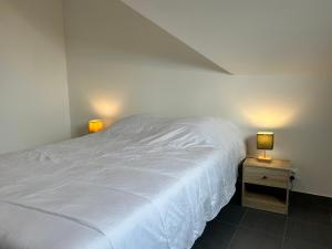 205 - Maison 8 personnes en plein cœur de Plurien