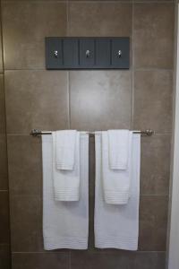 Palms on Fourth - Apartment