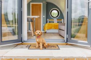 Luxury Glamping Pods with private Hot Tubs - Dog Friendly