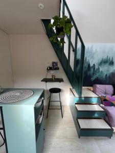 Ashburton unique Studio House, close to Cookery School, private entrance & parking