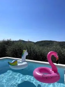 Beautiful Ligurian house with pool - Vasia