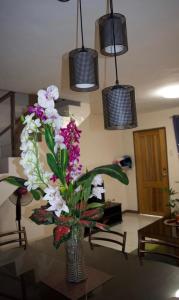 Craig and Marys Cozy Stay