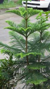 Craig and Marys Cozy Stay