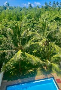 Lena Resort