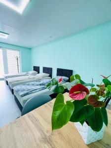 Kwatera - Pod Wiatrakiem, JACUZZI ZEWNĘTRZNE