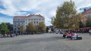 Eroilor Downtown Accomodation