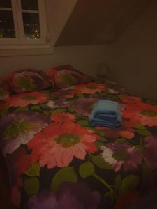 Appartements Appartement calme a 300 m de la plage-centre ville - Quiet appartment 300 m near city and beach : photos des chambres