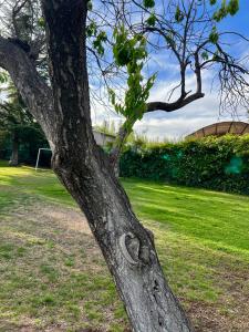 Hermosa casa en Vistalba, Lujan de Cuyo