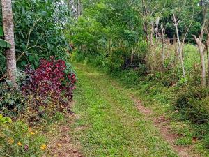 farmer homestay yercaud