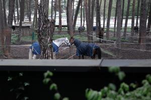 Sosnowy "6", blisko centrum, w otoczeniu lasu