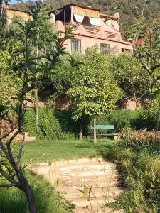 KASBAH Jardin des délices Timalizen - Asguine