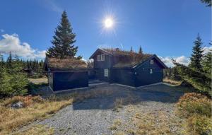 Stunning Home In Sjusjøen With Sauna