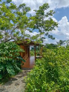 Onca Tours & Treehouses