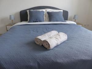 Appartements Appartement avec 2 chambres et parking prive : photos des chambres