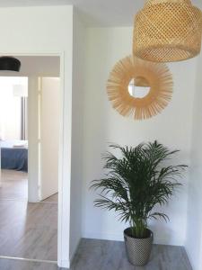 Appartements Appartement avec 2 chambres et parking prive : Appartement 2 Chambres