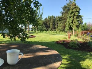 Natur-Idyll Schneckenbuch