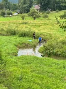 Charming studio by the river - Regetovka