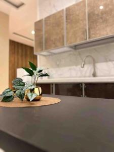 الفخامة المروة