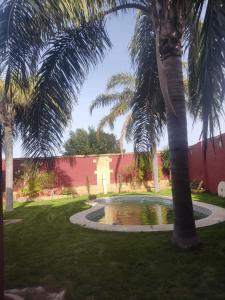 Apartamentos las palmeras