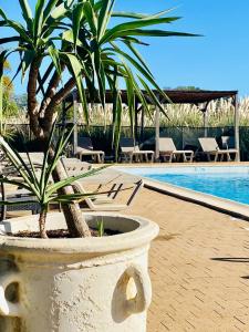 Hotels Hotel le Mas des Ponts d'Arles : photos des chambres