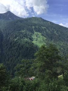 Chalet Berghof LAret in Val di Rabbi