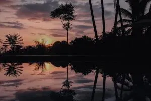 Finca Bavaria - Ballena