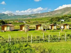 Fishta Guesthouse - Mrizi i Zanave - Kashnjet